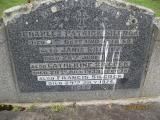 image of grave number 385529